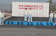 TL(fng)